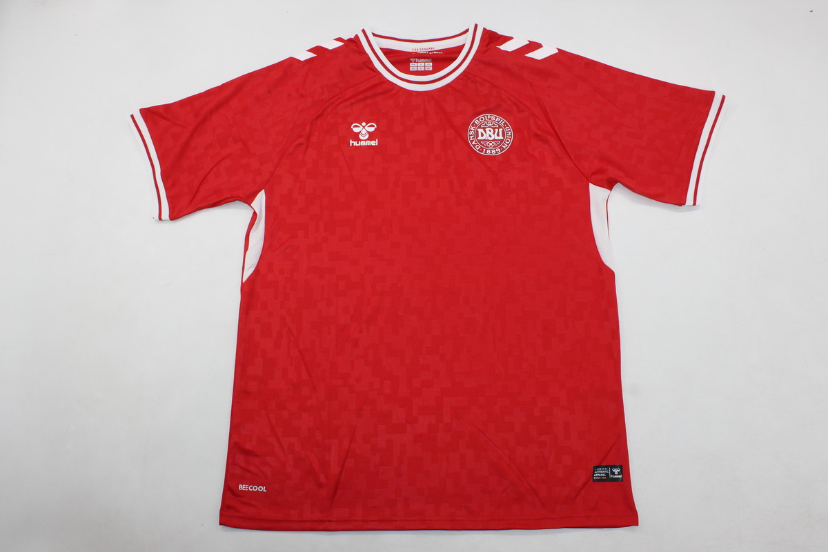 AAA Quality Denmark 2024 Euro Home Soccer Jersey